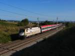 Auch MAVTR 470 010  Aranycsapat  fuhr am 24.08.12 durch die Weinberge bei Neu Guntramsdorf, am Haken hatte sie den OEC 531 (Wien Meidling - Lienz).