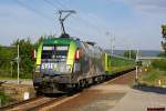 GySEV 470 504  140 Jahre GySEV  mit 8902 (Sopron - Szombathely) am 10.05.2013 bei der Haltestelle Kphza.