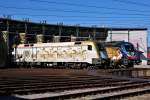 Die nagelneue 1216 019 neben 470 010 in Salzburg, 1.8.2013