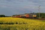 V63 153 (MAV) mit Gterzug vor Csorna (08.05.2008)