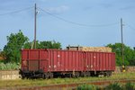 Mit Holz beladene Güterwagen in Vasarosnameny, 31.5.2016