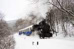 490,056 mit einem Nostalgiezug kurz vor der Bahnstation János-hegy am 19.01.2013