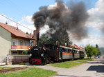 Steam in the street! :) Morgó von Királyrét Waldbahn (Schmalspurbahn in Ungarn)auf dem Weg von Kismaros nach Királyrét.