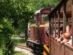 Die Waldeisenbahn nach Lillafüred kurz nach der Abfahrt in Miskolc, 10.7.16    Auch wenn es hier schon nach Wald aussieht, fährt die Bahn erst mal hinter den Gärten der Vorstadt her...