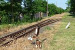 Einfahrt in die Station Nagyhalasz-Kendergyar der 2009 stillgelegten Schmalspurstrecke von Nyiregyhaza nach Dombrad und Balsa, 29.