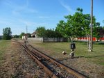 Einfahrt in die Station Nagyhalasz der 2009 stillgelegten Schmalspurstrecke von Nyiregyhaza nach Dombrad und Balsa, 29.