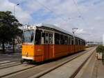 1346 als Linie2 im Bereich der Hst Mrcius 15. tr in Budapest; 130827