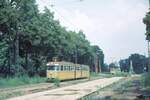 Debrecen_L 1_im Park [4]_20-07-75