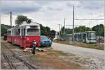 Lillafüredi Állami Erdei Vasút (LÁEV). Vor dem Depot in Majláth stehen ex Wiener Strassenbahn Wagen 189, Dampflok 447.401 und daneben an der Endhaltestelle Majláth Skoda Tram 619. (13.06.2018)