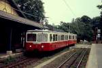 Am 14.06.2011 fährt der Triebwagen 55 der Budapester Zahnradbahn auf seinem Weg von der Bergstation Szechenyi-hegy-Gyermekvasut zum Varosmajor in die Station Svabhegy (Schwabenberg) ein.
