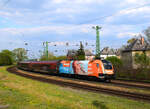 Die Werbelok  Steinbach  1116 229 mit dem Zug RJX 68 von Budapest nach München kurz nach Komárom.
30.04.2022.