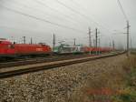 Geradezu umzingelt von BB-Loks zeigte sich die Sonderlok  Franz Liszt  der Raaberbahn am 21.11.2010 vllig berraschend auf dem Zentralverschiebebahnhof Wien-Kledering. Auch wenn das Rot dominiert, die ungeteilte Aufmerksamkeit gilt dem in Grau gehaltenen Fahrzeug in der Mitte.