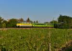 430 332 mit einem R am 01.09.2015 bei Kópháza.