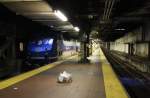 20.6.2012 Grand Central Terminal, NYC.