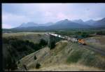 Die Two Medicine Brcke  beim Glacier National Park mit einem Gterzug im Hintergrund die Rocky`s September 98