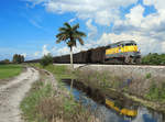503 passes Pahokee whilst working BT1, loaded sugarcane from Bryant to Clewiston, 3 March 2019. The sugar cane trains run from November to April which is the harvest season