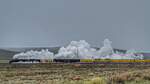 Auf der Eröffnungsfahrt vom restaurierten Bigboy 4014 von Cheyenne nach Ogden war am 8.Mai 2019 bei Evanston WY der einzige Tag mit grauem Himmel und leichten Schneeschauern.
Die UP 844 sollte eigentlich einige Tage vorher nach Ogden fahren, da sich aber alle Kräfte auf die Fertigstellung der 4014 konzentrierten, mußte die 844 warten und so kam es zu dieser einmaligen Zugkomposition.

PS: Von der Spitze vom Bigboy bis zum ersten Waggon sind es in Spur N 78cm, bei H0 wären das 1,43m