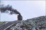 Ein Zug unterhalb des Gipfels. (Archiv 03.08.1998)