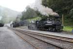 Cass Scenic Railroad Damploks 5 (Shay 3 Truck) und 11 (Shay 3 Truck) steht 1.9.2014 in Cass West Virginia.