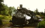 Nr. 489 der D&RGW, eine K-36 (1925 von Baldwin gebaut), ist am 17. August 1988 fr die Cumbres & Toltec Scenic RR zwischen Antonito und Chama  unterwegs. 