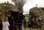 Cumbres & Toltec Scenic Railroad   http://www.cumbresandtoltec.com/