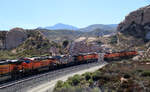 Zur richtigen Zeit am richtigen Ort: Begegnung zweier BNSF-Zügen mitten in der Sullivan's Curve! Im Hintergrund ist ein Teil der UP-Linie zu sehen. Cajon Pass, CA, 22.9.2022