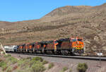 Wellness für Augen und Ohren: 6 BNSF-Loks ziehen einen gemischten Güterzug den Cajon Pass hoch.