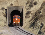BNSF-Lok verlässt Tunnel 2 in der Morgensonne.