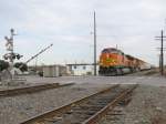 Ein BNSF Zug an einem Bahnbergang in Rosenberg bei Houston (Texas).