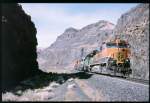 Gterzug der Burlington Northern im Tal des Columbia River   im Juni 1998 