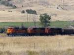 BNSF 8763, 8969 und eine weitere Diesellok ziehen einen Gterzug am 13.09.2013 aus Richtung Kanada bei Bonners Ferry (Idaho) in Richtung Sandpoint.