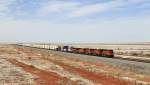 BNSF 8112, 6979, 8090, 7616 und 8255 mit Containerzug am 29.03.2015 bei Taiban, New Mexico.