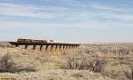 5 BNSF Loks mit Containerzug am 29.03.2015 bei Fort Sumner, New Mexico.