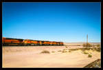 BNSF (Burlington Northern Santa Fe) 7696 + 4637+ 4525 + 6890  in der Mojave Wüste in Barstow 12.Oktober 2019