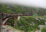 Sogar Blumen wachsen hier in den Bergen: Unser Zug entflieht auf der Talfahrt vom White Pass nach Skagway dem Nebel im Gebirge. White Pass - Skagway, 22.7.2012