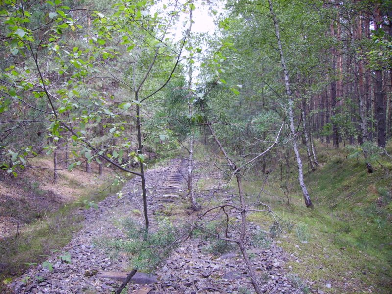 Tief im Wald verborgen die Reste der Eisenbahnkreuzung bei Borowiany! 
Nach Angaben meiner Groeltern wurden die Schienen geklaut, da dort fast nie zge fuhren. Beweis auf Satallitenfoto!
(Sommer 2006)