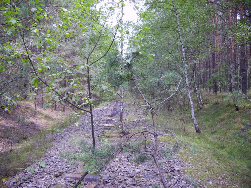Tief im Wald verborgen die Reste der Eisenbahnkreuzung bei Borowiany! 
Nach Angaben meiner Groeltern wurden die Schienen geklaut, da dort fast nie zge fuhren. Beweis auf Satallitenfoto!
(Sommer 2006)
