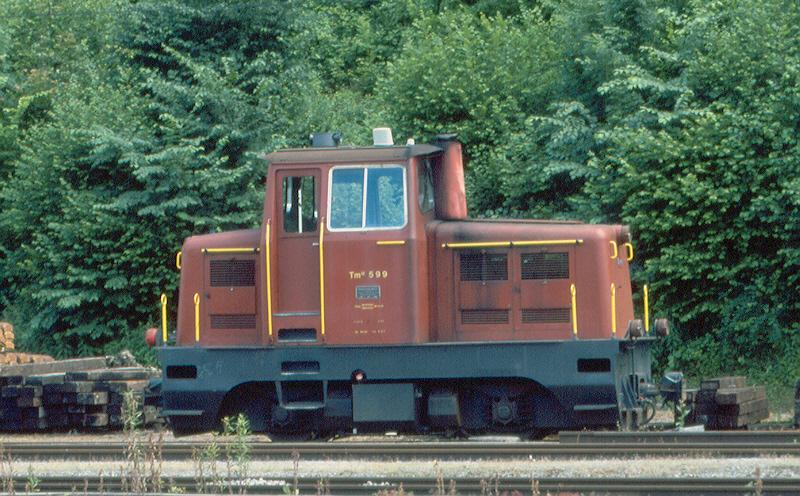 Tm III   599   ( SBB-Brnig )
03.07.04 Meiringen