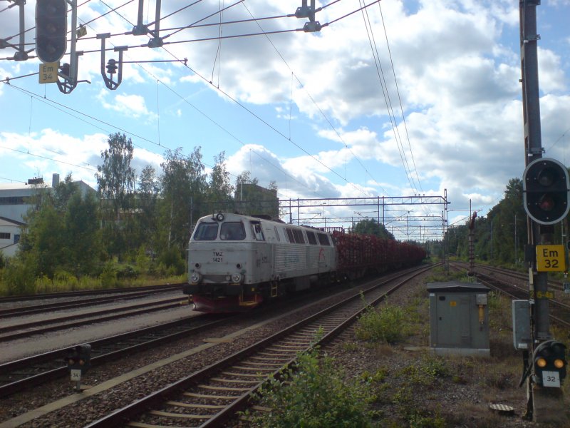 TMZ 1421 steht mit einem Holzzug im Bahnhof von Emmaboda. Aufgenommen am 29.07.2008