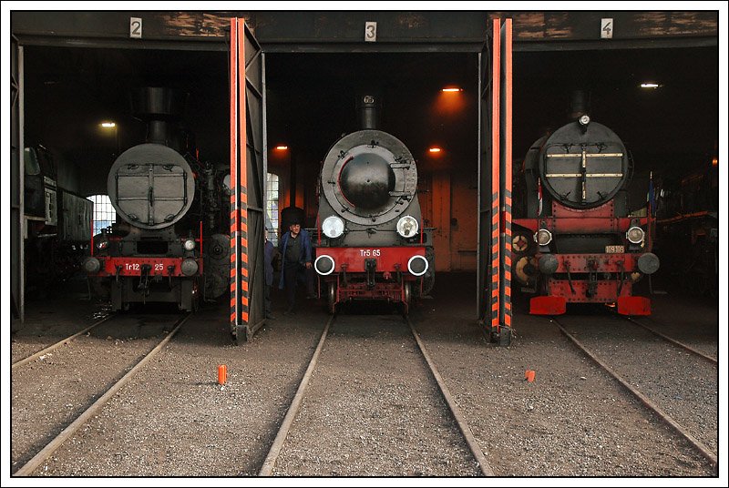 Tr12-25, Tr5-65 und die ungarische 109.109 warten am spten Nachmittag des 2.5.2008 auf die abendliche Parade im BW Wolsztyn.
