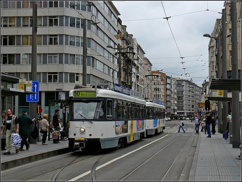 Tram N 7077 kommt am 13.09.08 an der Haltestelle Antwerpen Centraal Station an. (Hans)