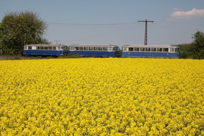 Triebwagen der WEMEG unterwegs im Rapsfeld zwischen Hagenow und Bobzin. 04.05.2008