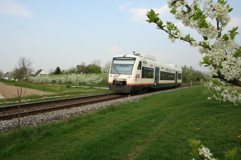 Triebzug VT 532  Lauterbach  der OSB am 14.4.2009 zwischen Urloffen und Appenweier.