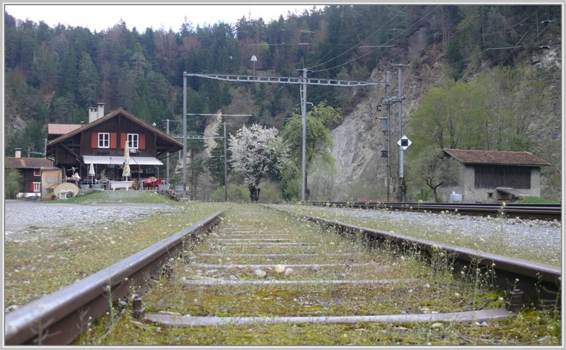 Trin in der unteren Rheinschlucht dient als Kreuzungsstation und die Zge fahren hier mangels Passagieren vielfach durch. (17.04.2009)