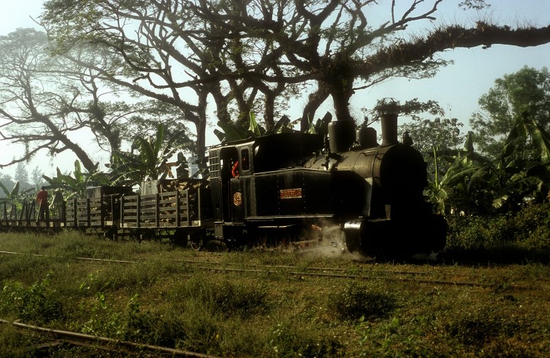 TUDJUBELAS  Waldbahn Cepu  10.08.04