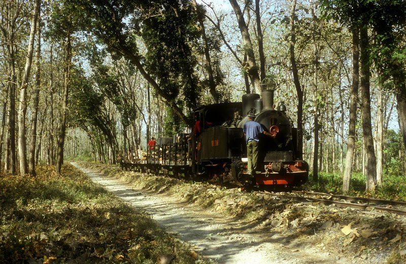 TUDJUBELAS  Waldbahn Cepu  10.08.04