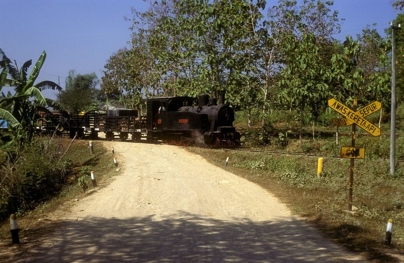 TUDJUBELAS  Waldbahn Cepu  20.08.95