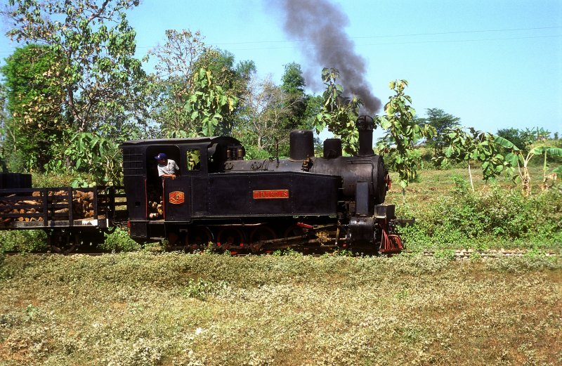 TUDJUBELAS  Waldbahn Cepu  20.08.95