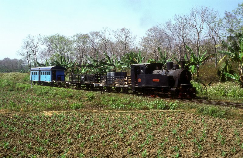 TUDJUBELAS  Waldbahn Cepu  20.08.95