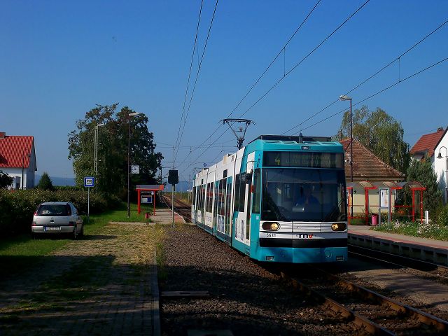 Tw 5631 der rnv fhrt als Linie 4 nach Heddesheim. Aufgenommen am 27.9.2009 in Ellerstadt West.